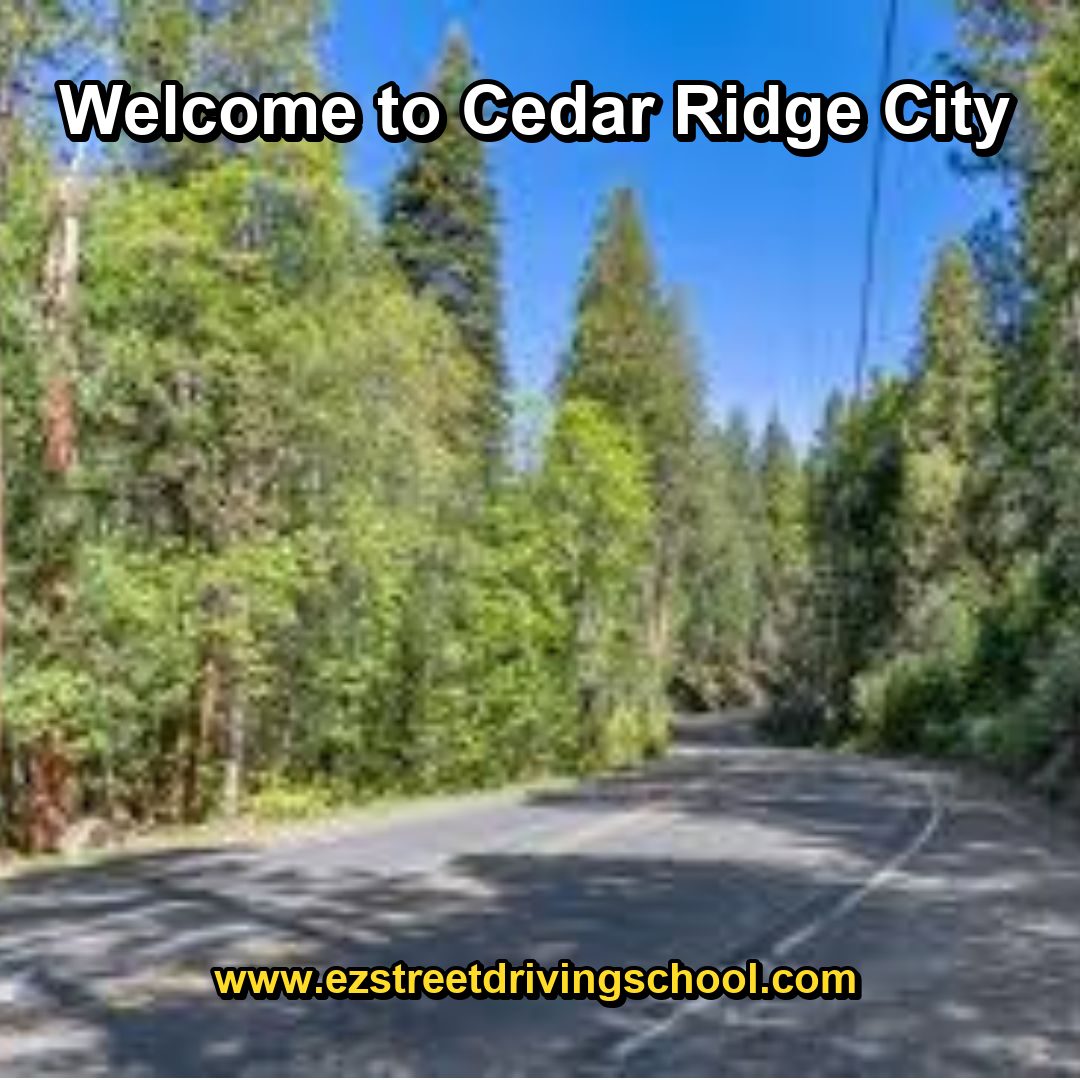 Driving Lessons in Cedar Ridge